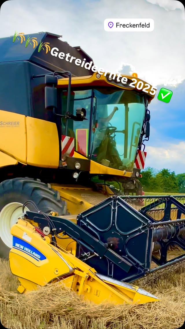 New Holland Mähdrescher bei der Getreideernte